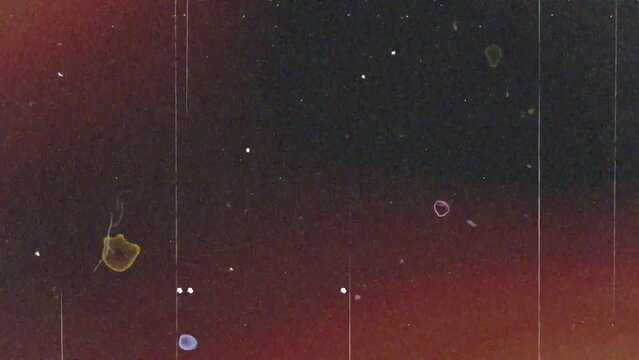 Vintage looping film strip background. 4K reel clutter old tv grain noise frame. Videotape texture overlay with scratches and dirt stains. Lens flare light leaks effect