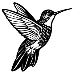 hummingbird silhouette vector illustration svg file