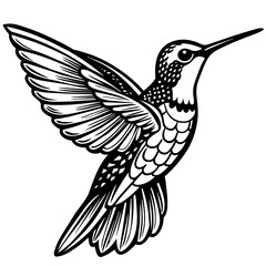 hummingbird silhouette vector illustration svg file