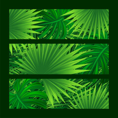 Rainforest tropical leaves vector illustration. Amazon foliage print for apparel, t-shirts designs and travel cards. Jungle plants backdrop. Green wallpaper with tropic palm leaf. Summer background.