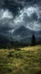 Fototapeta premium Misty valley in the Great Smoky Mountains