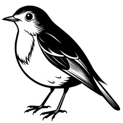 robin silhouette vector illustration svg file
