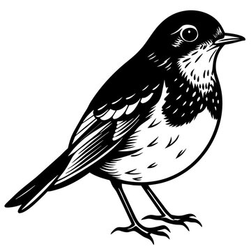 black and white bird standing clip art preview