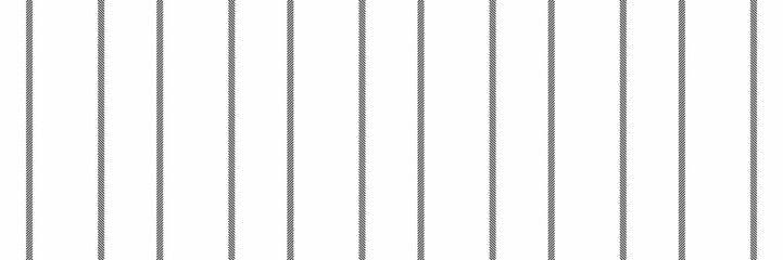 Stripe seamless texture stripe, heritage background vertical lines. Household pattern textile vector fabric in white and black colors.