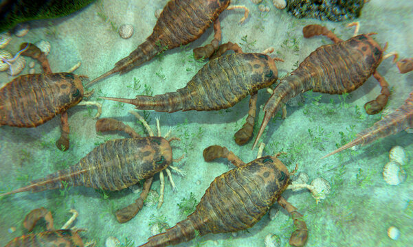 Eurypterids Gathering on a Silurian Seafloor