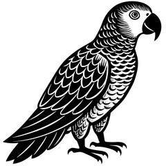parrot silhouette vector illustration svg file