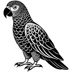 parrot silhouette vector illustration svg file