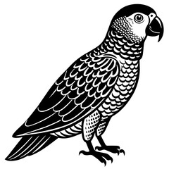 parrot silhouette vector illustration svg file