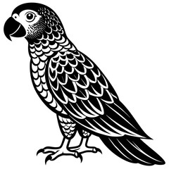 parrot silhouette vector illustration svg file