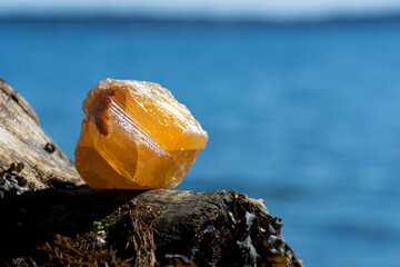 A close up image of a large orange honey calcite crystal resting on a piece of driftwood with an ocean background.
