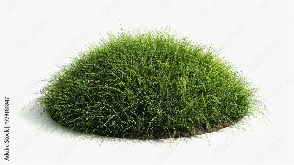 Poster circular patch of grass on a white background, suitable for various design projects