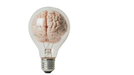 Brain in a light bulb on transparent background.