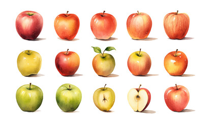 set of Watercolor elements of apple fruits, leaves and flowers for posters, wedding cards, summer boho banners, cover design templates, social media post, spring wallpapers. Vector apples illustration