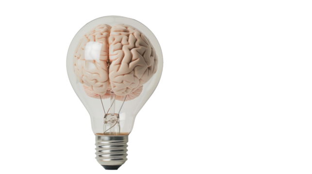 Brain in a light bulb on transparent background.