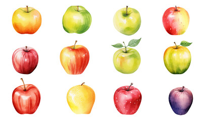 set of Watercolor elements of apple fruits, leaves and flowers for posters, wedding cards, summer boho banners, cover design templates, social media post, spring wallpapers. Vector apples illustration