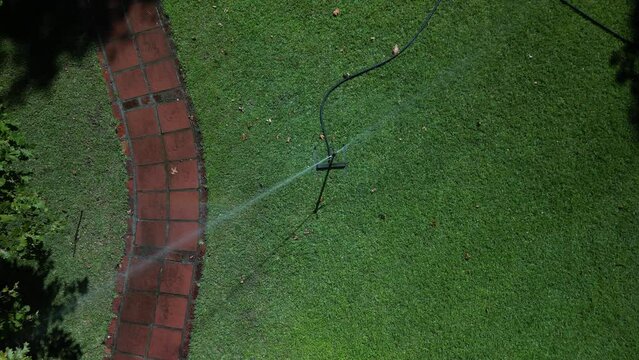 A sprinkler system is watering a lush, green lawn adjacent to a red brick pathway