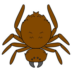 spider illustration hand drawn isolated vector	
