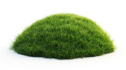 A patch of green grass on a white surface. Suitable for various design projects