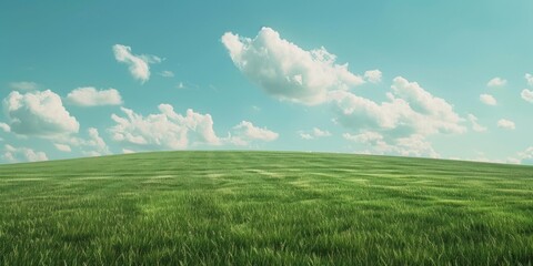 A serene landscape of grass field under a cloudy sky. Ideal for nature and outdoor concepts