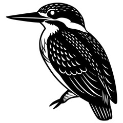 kingfisher silhouette vector illustration svg file