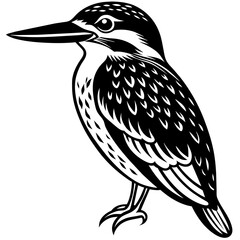 kingfisher silhouette vector illustration svg file