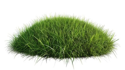 A small patch of grass on a white surface. Suitable for various design projects