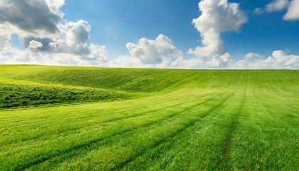 Obraz premium Tranquil Horizon: Green Field of Cut Grass Beneath a Summer Sky