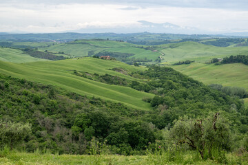 landscape with green hills in tuscany italy