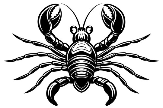 recommend clip art: crayfish-with-claws-isolated-on-white-background