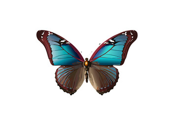 Mariposa colorida
