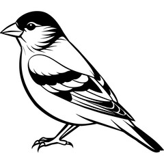 goldfinch silhouette vector illustration svg file