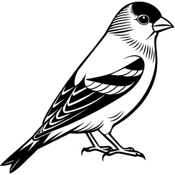 recommend clip art: goldfinch silhouette vector illustration svg file
