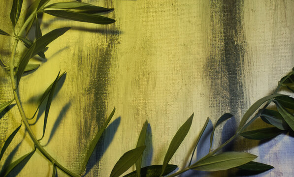 Olive branch on a grunge background. Symbol of peace and victory associated with customs of ancient Greece