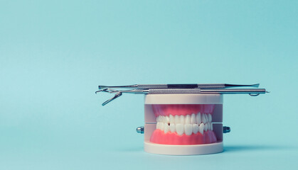 Plastic model of human jaw with white even teeth and a medical examination mirror, tweezers on a blue background,