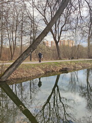 The spring geometry of central park