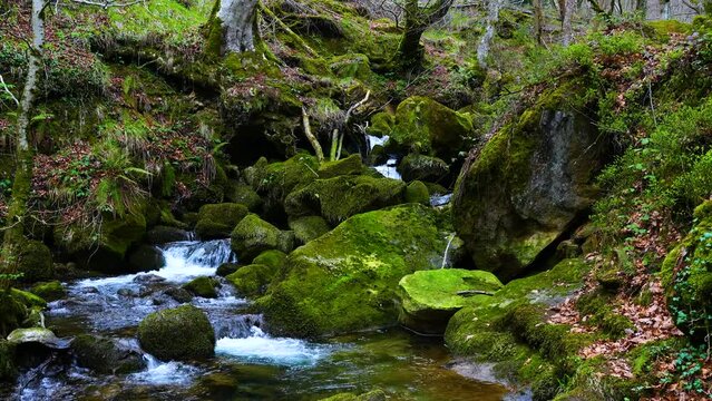 Route to the source of the Zirauntza river in Araia in Alava. Aizkorri-Aratz Natural Park. Alava. Gipuzkoa. Basque Country. Spain. Europe