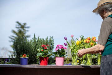Elderly woman tending to colorful flowers on a sunny patio