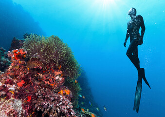 Silhouette of free diver exploring coral reef. - 779203210