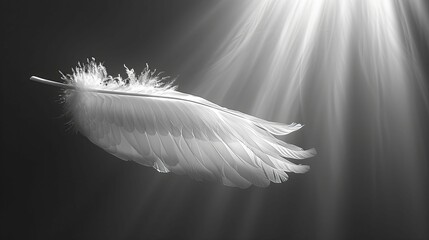Dramatic depiction of a feather falling through a beam of light, serenity and grace theme, on white background.