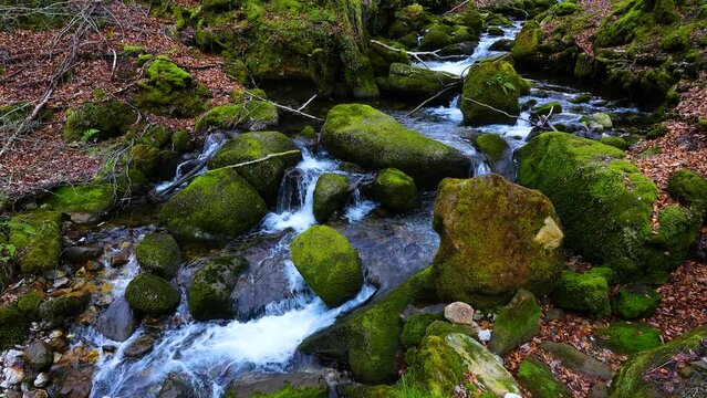 Route to the source of the Zirauntza river in Araia in Alava. Aizkorri-Aratz Natural Park. Alava. Gipuzkoa. Basque Country. Spain. Europe