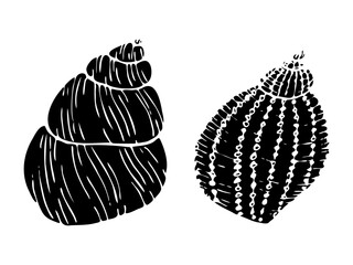 A set of vector seashell silhouette illustrations. Hand drawn maritime seashells sketch. Undersea seashells outline drawing. Design elements for icon, logo, seafood shop, menu.