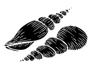 A set of vector seashell silhouette illustrations. Hand drawn maritime seashells sketch. Undersea seashells outline drawing. Design elements for icon, logo, seafood shop, menu.