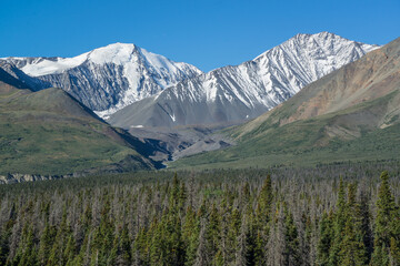 Kluane National Park, Yukon