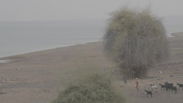 Indian goat shepherd near lake Slog.