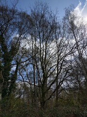 Promenade à Neuvy-en-Sullias Loiret 45