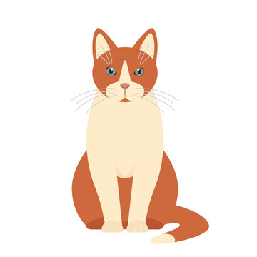 Sitting Cat front view. Happy funny pet animal. Cat icon. Vector illustration isolated on white background.