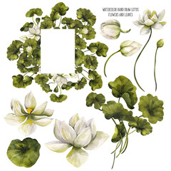 Watercolor hand draw clipart. Lotus flowers and leaves. Bouquets, frame, wreath, DIY element. Asian botanical illustration, isolated on transparent background, PNG files. 