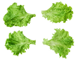 Set with  green leaves of lettuce isolated on white background, top view.