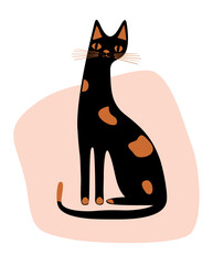 boho style cat black and orange fur