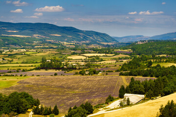 Provence landscape with lavender fields, France. - obrazy, fototapety, plakaty